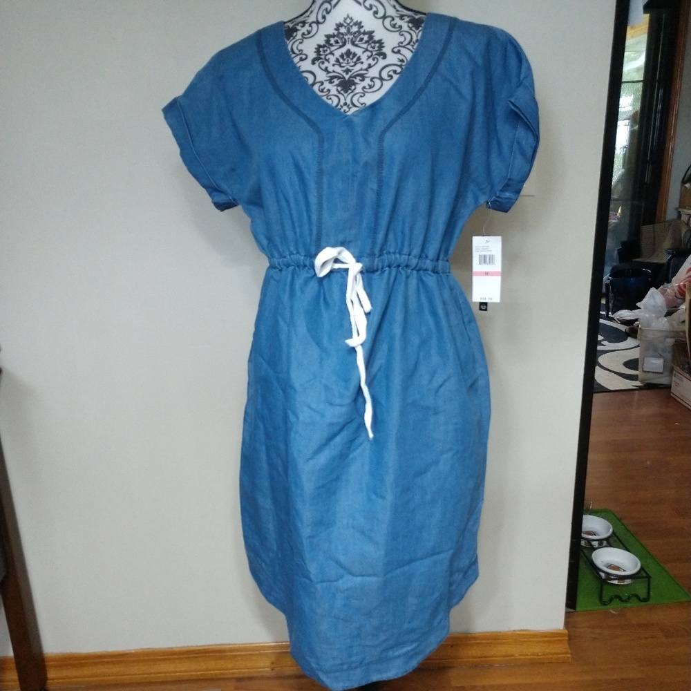 Chambray maternity dress